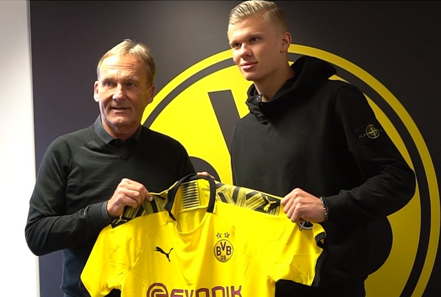 世界杯C组抽签出炉：巴西、摩洛哥、海地、苏格兰